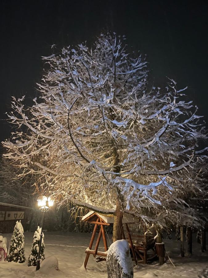 Cabana Din Groapa Frumoasa Râşnov Exterior photo